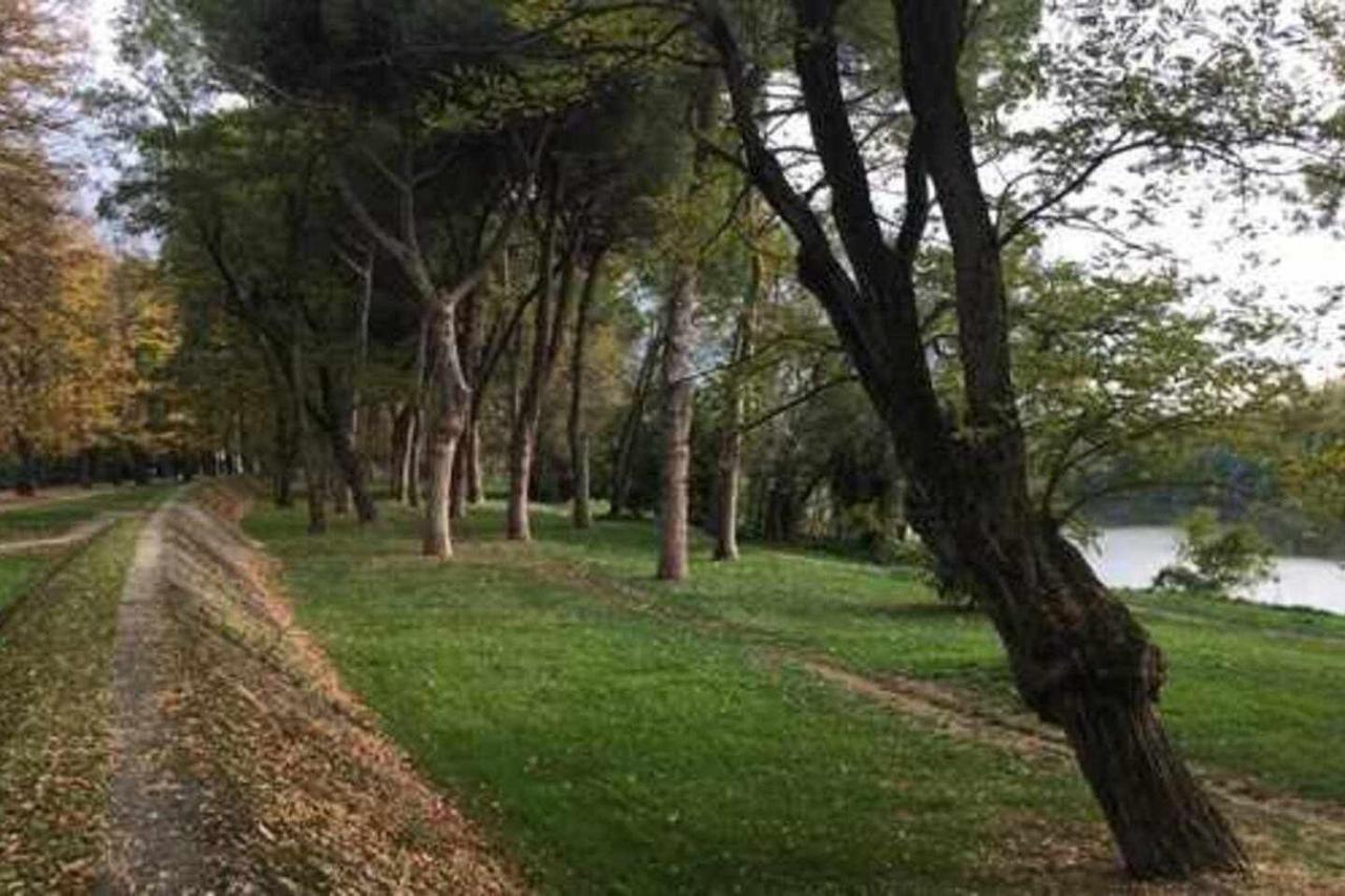 Pisa Appartamento Bonaini エクステリア 写真